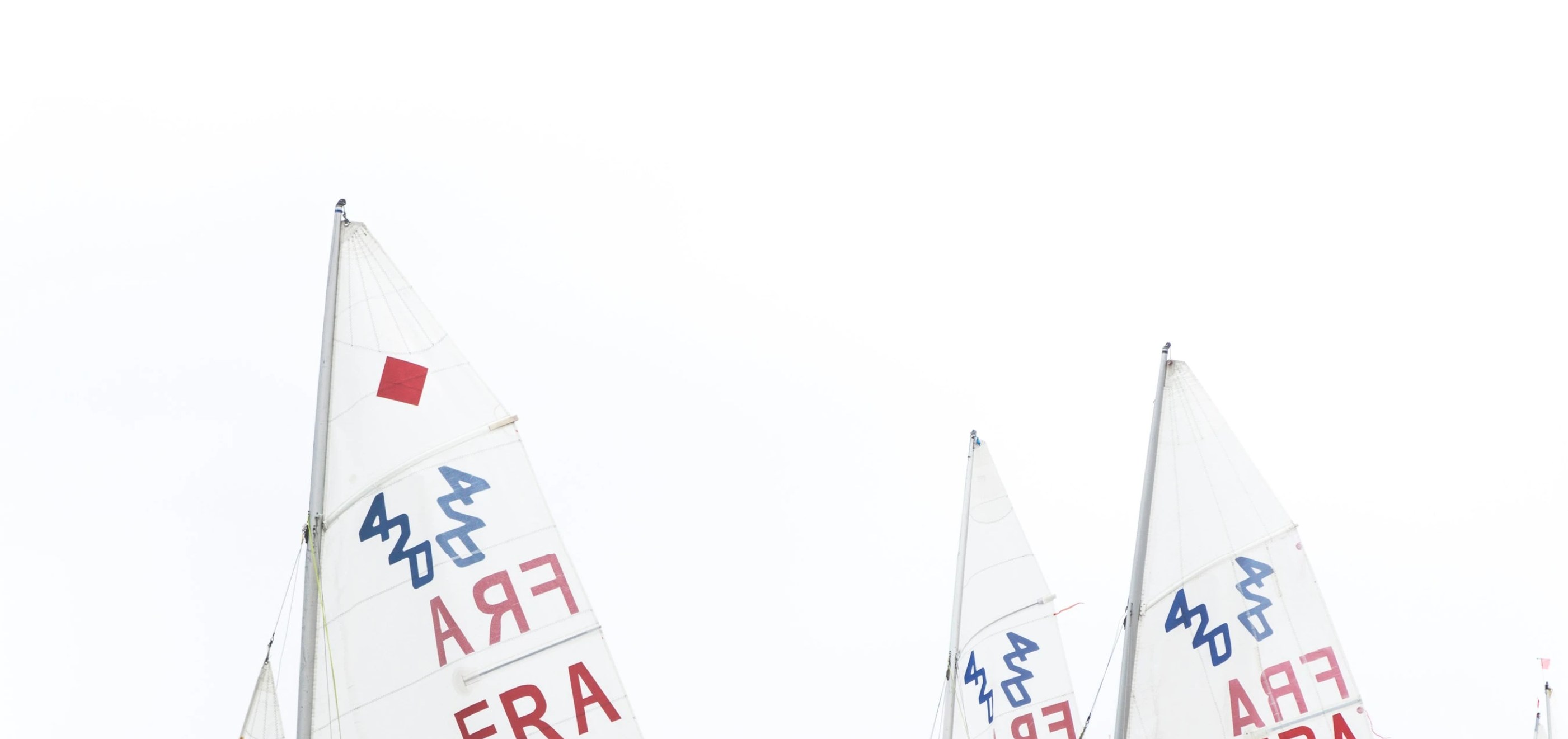 Sails of small racing dinghies against a white sky